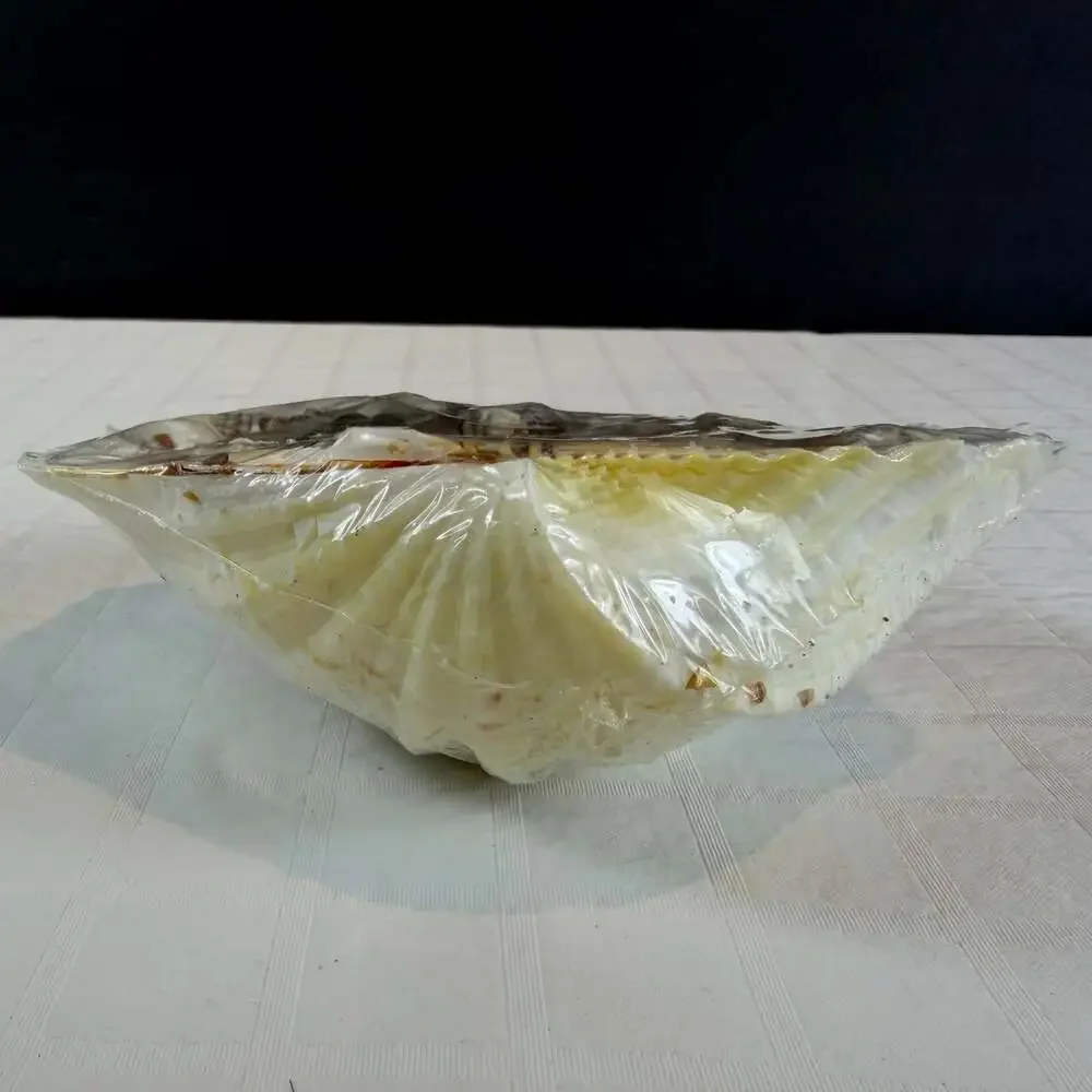N/A shell topped